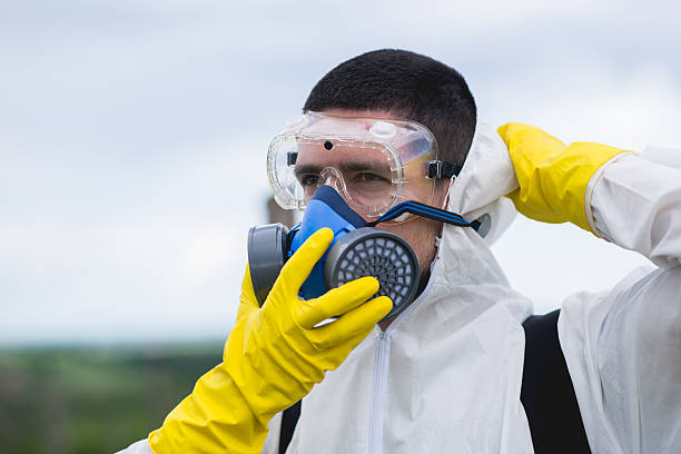 mold inspections